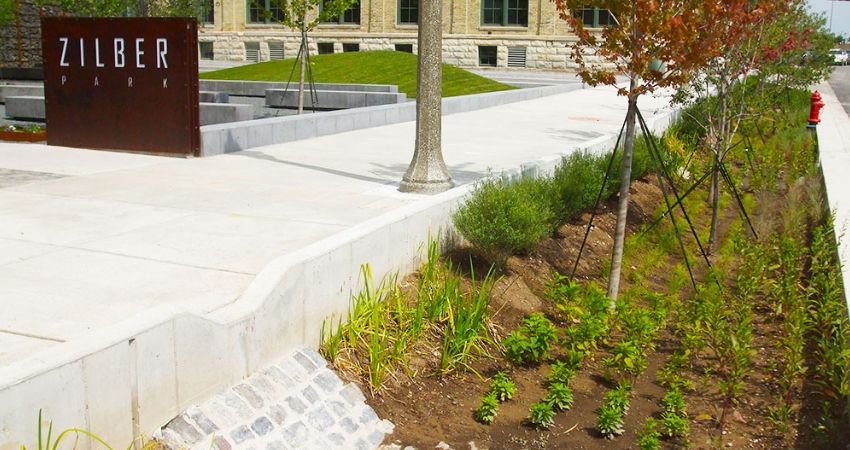 Bioswales